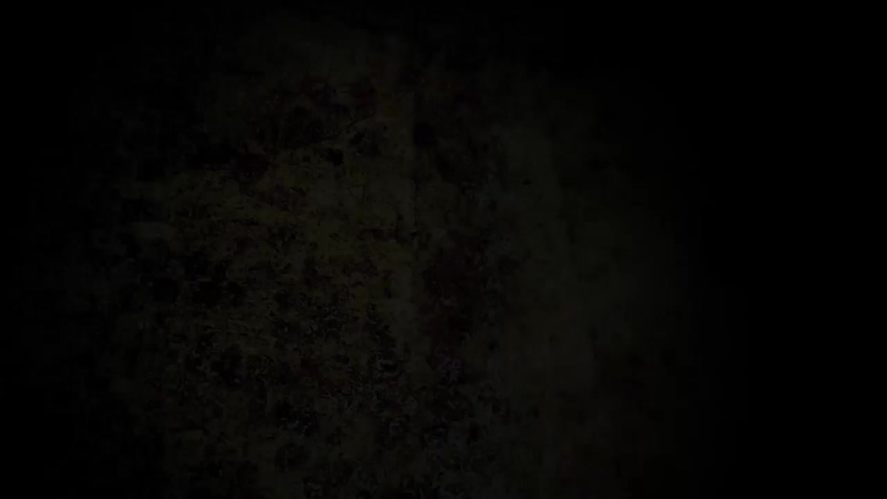 No Image Available